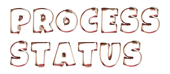 Process Status - artistic text written on white background