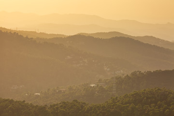 Scenic view to the hills covered with pine trees at sunset