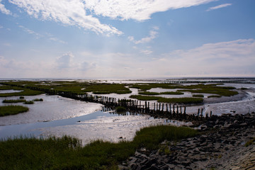 Obraz premium Nordseepril