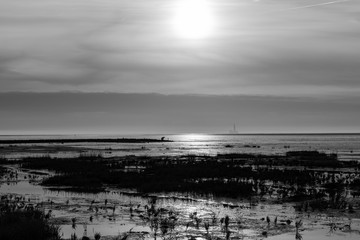 black & white sea