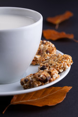 fresh healthy breakfast with cereal biscuits and milk