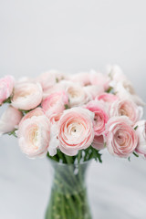 Ranunculus asiaticus or Persian Buttercup. Bunch of pastel pink blossom . Light gray background, glass vase. Wallpaper, flowers texture