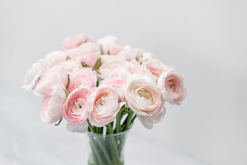 Ranunculus asiaticus or Persian Buttercup. Bunch of pastel pink blossom . Light gray background, glass vase. Wallpaper, flowers texture