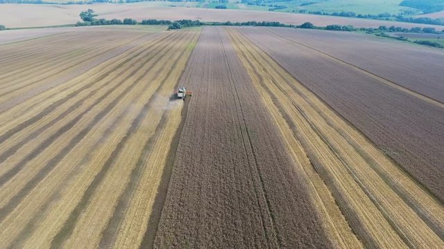 Combine Harvesting Wheat Field Aerial View