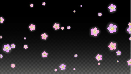Vector Realistic Pink Flowers Falling on Transparent Background.  Spring Romantic Flowers Illustration. Flying Petals. Sakura Spa Design. Blossom Confetti. Design Elements for Wedding Decoration.