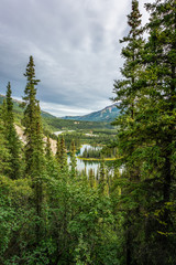 Fototapeta na wymiar Horseshoe lake view in Denali national park, Alaska
