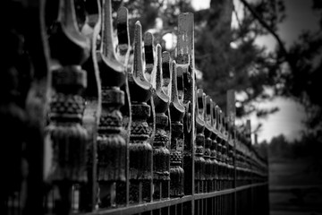 Fence Top
