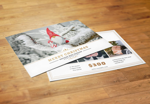 Christmas Photography Mini Session Flyer Layout
