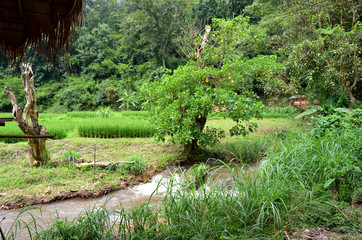 Maisons locales au village de Long Neck, Thaïlande du Nord