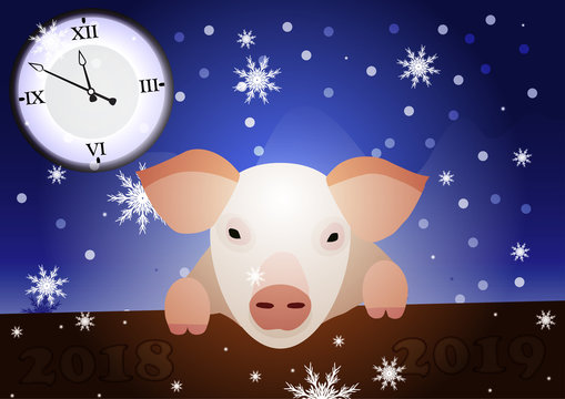 New Year postcard with a pig on the fence, snowflakes and a clock in the midnight on the dark background