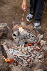 Cook marshmallow on a fire.