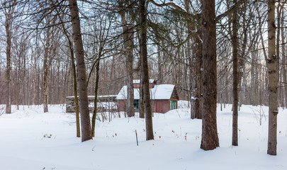 Sugar shack and old barn in a boreal forest Quebec, Canada.