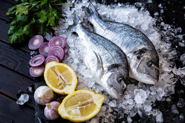Fresh Dorado fish, with vegetables, herbs, lemon with pieces of ice on a black background