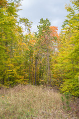 Landschaft im Herbst