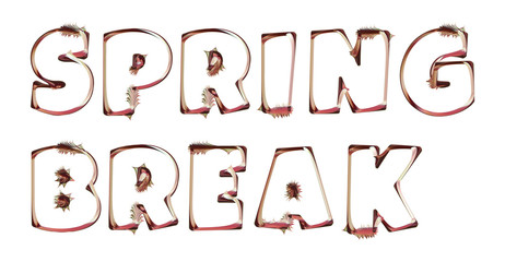 Spring Break - artistic text written on white background