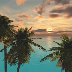 Fototapeta na wymiar Sonnenuntergang mit Palmen 1