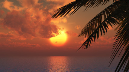 Naklejka na ściany i meble Sonnenuntergang mit Palmen