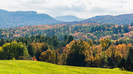 Fototapeta na wymiar hills of green meadow with wooded forests bright in autumn fall foliage 