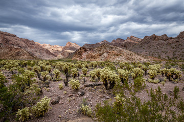 Thunderstorm over the Ghost Town of Nelson