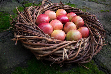 Fresh apples in a nest on concrete