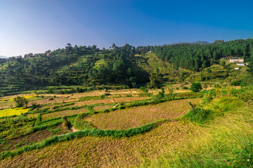 Farming in Himalayas in Bageshwar, Uttarakhand, India