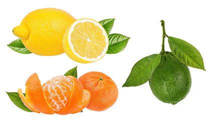 Collage of fresh citrus isolated on white background with clipping path