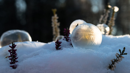 gefrorene Seifenblasen angestrahlt von der Sonne