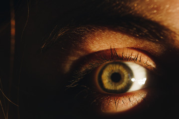 Human eye detail, female macro eye close up