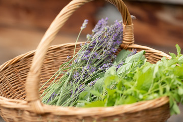 Kräuter frisch gepflückt im Korb aus dem Kräutergarten zuhause