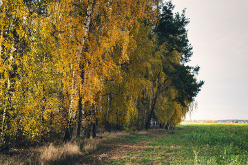 Jesienny krajobraz 9