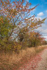 Fototapeta premium Landschaft im Herbst