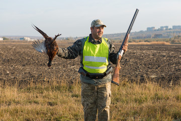 Hunter with a german drathaar and spaniel, pigeon hunting with dogs in reflective vests	