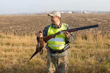 Hunter with a german drathaar and spaniel, pigeon hunting with dogs in reflective vests	