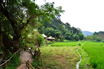 village femmes des longs cous Thaïlande