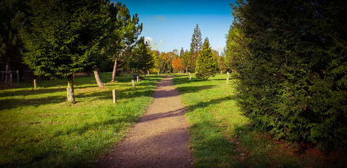 Autumn walk in the hills