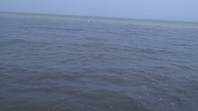 mer