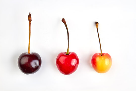 Three ripe cherries on light background. Row of juicy berries with stem. Tasty summer fruit.