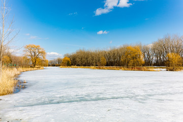 Winter scene in Angrignon Park, Montreal Canada. - 231405095