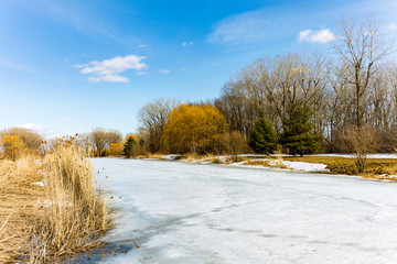 Winter scene in Angrignon Park, Montreal Canada.