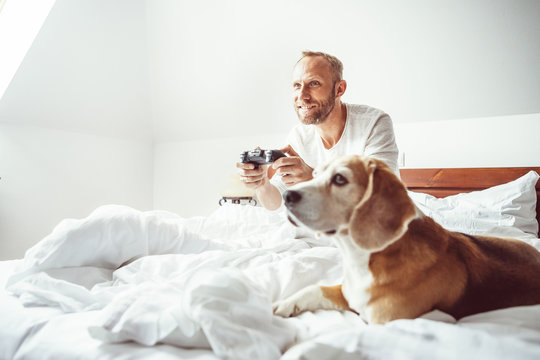 Like a child: udult breaded man waked up and plays PC games don't stands up from bed.His beagle dog watching the game with very interest.