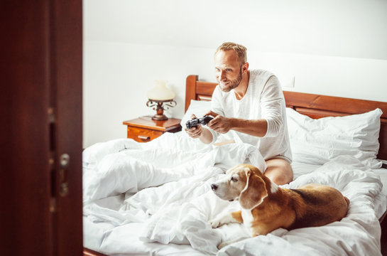 Man plays PC games sitting in bed at morning time. His beagle dog watching the game with very interest.