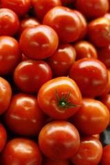 tomatoes at the market