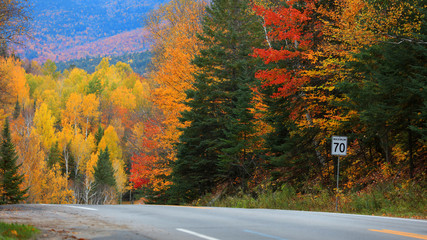 Fototapeta na wymiar Scenic road through Quebec countryside in autumn time