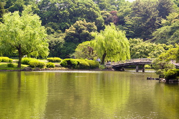 Fototapeta premium Park