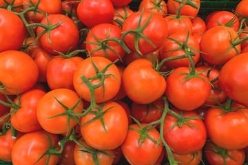 Pile of fresh tomatoes (closeup)