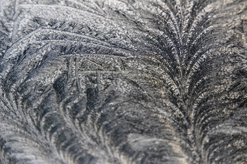 frost pattern on a windowpane