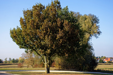 the last warm days of the outgoing year