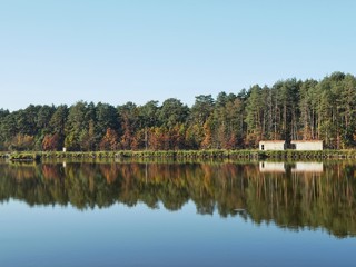 Obraz premium Polonne / Ukraine - 13 October 2018: the horizon of the coniferous forest near the lake