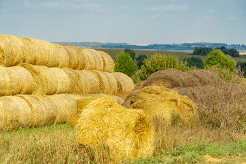 hay collected