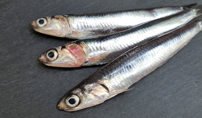 Fresh raw sardines